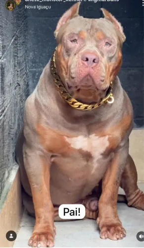 Pit Monster 