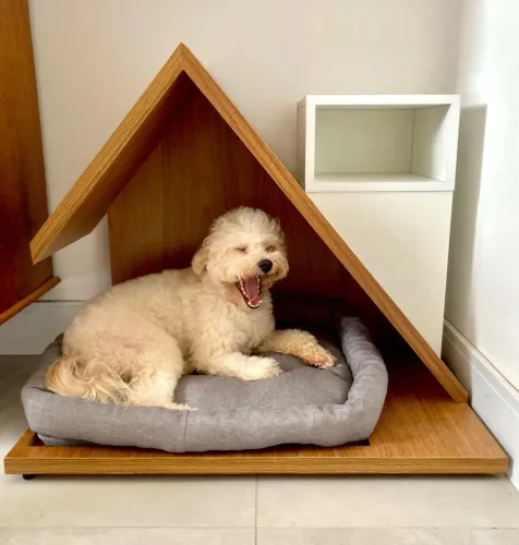 Casinha PET 