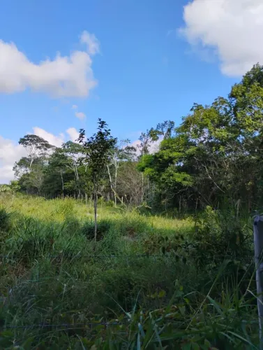 Oportunidade de Sítio do futuro em Itanagra-Ba