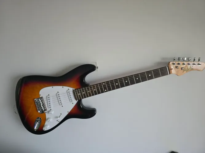 Guitarra Stratocaster Dolphin