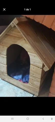 Casinha cachorro e gato