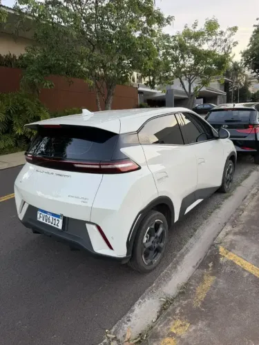 BYD Dolphin Mini (Elétrico) 2025