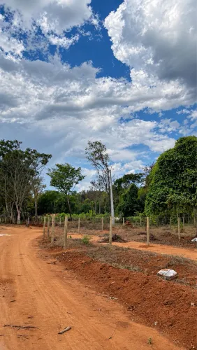 VENDO TERRENO EM PIRENÓPOLIS