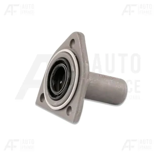Guia Eixo Piloto Embreagem Peugeot Citroen 2.0 C4 308 C4 Pallas C4 Picasso