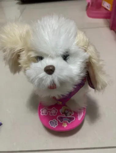 cachorrinha skatista