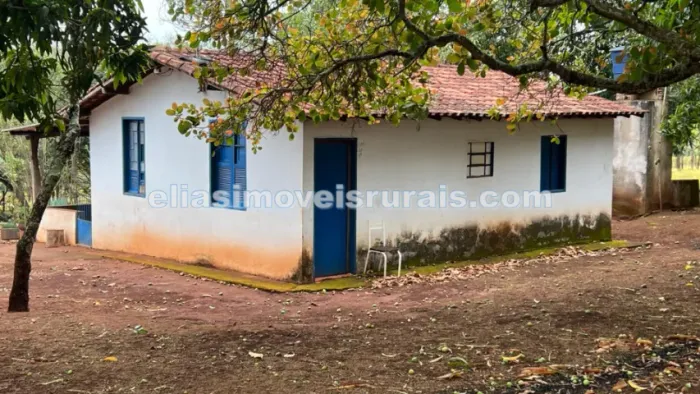 Sítio 2,0 alqueires em Indianópolis - Casa, muita água