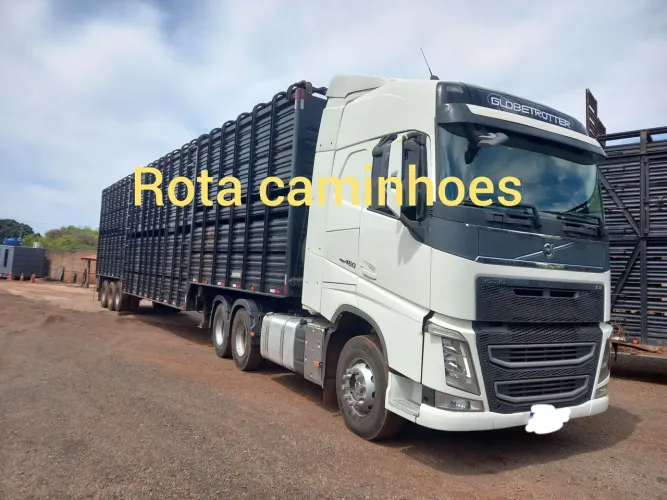 carreta 02 pisos boiadeira 2019