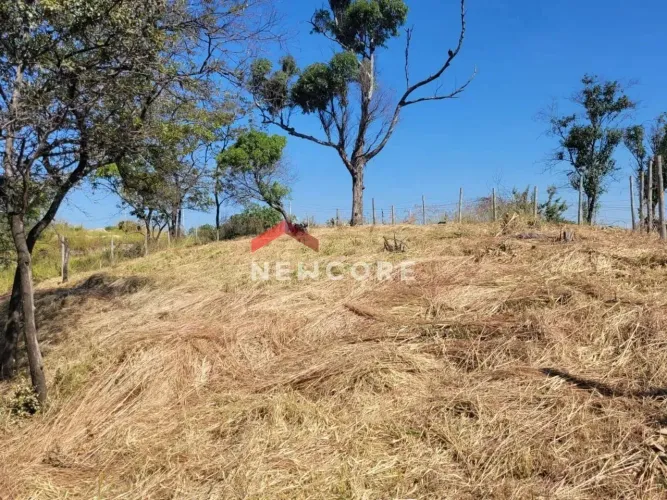 Lote em Rua Oitenta e Sete - Tropical - Contagem/MG