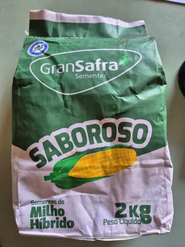 Semente de Milho