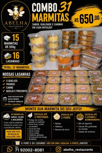 Combo 31 Marmitas Congeladas