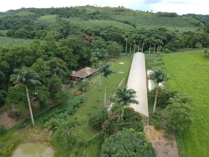 Fazenda/Sítio/Chácara para venda possui 28200 metros quadrados com 2 quartos