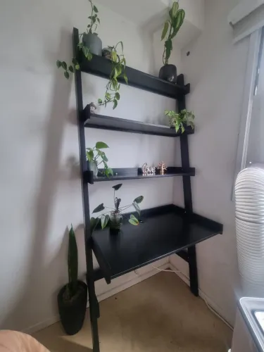 Estante e escrivaninha mango tok stok