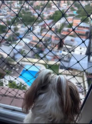 Telas de Proteção 