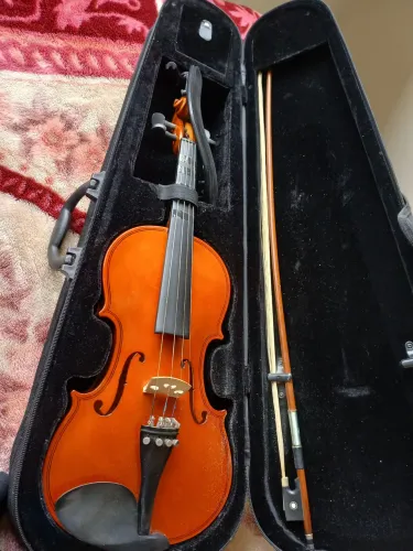 Violino Vignoli 4/4 Completo com Estojo e Espaleira