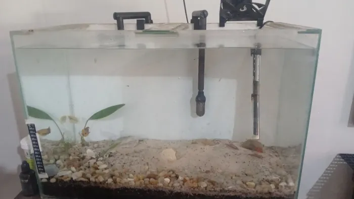 Aquario 60 litros