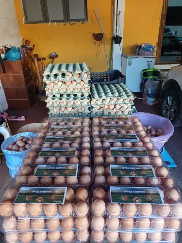 Ovos caipira direto da fazenda 