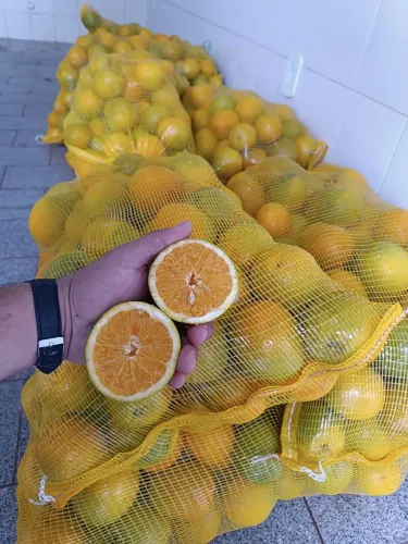 Laranja pera rio 20 kg.