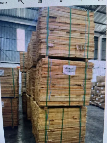Estacas de eucalipto