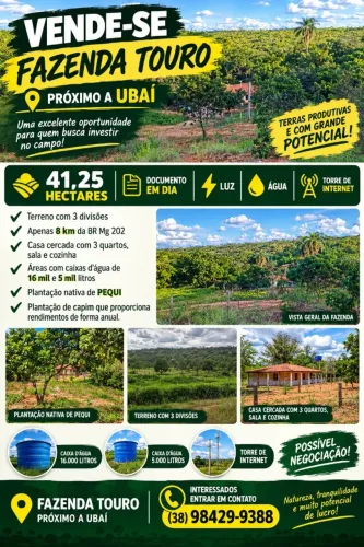 Fazenda 41 hectares
