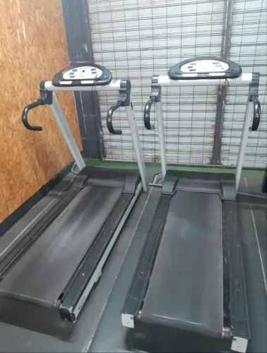 Vendo esteira profissional Lion Fitness