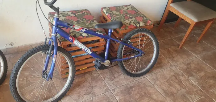 Bicicleta raptor