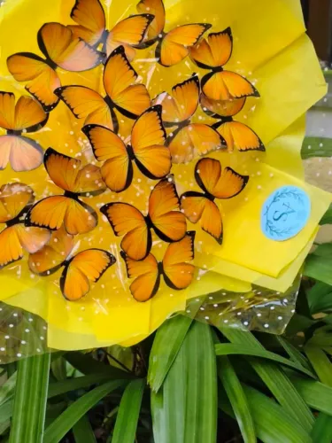 Buquês de borboleta e cetim