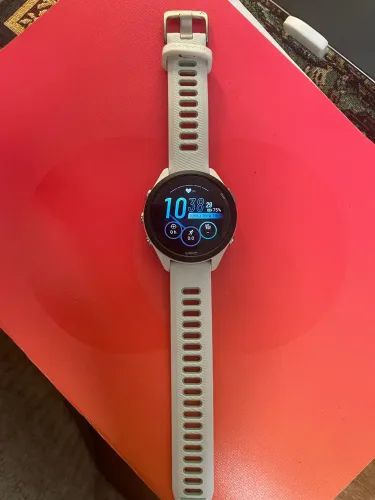 Garmin 265