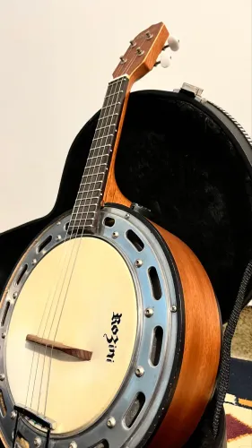 Banjo Rozini Canhoto Elétrico Rj14 Fosco com Hard case 
