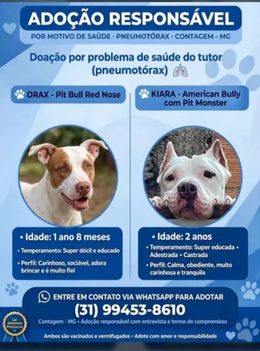 Doação 