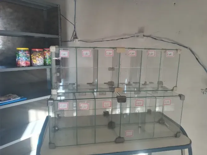 Boleiro de vidro 17 repartições  