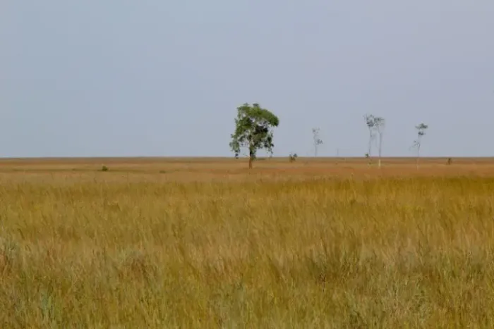 Fazenda 125 há para soja