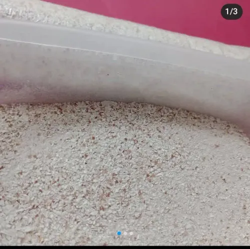 Adubo Farinha de Ovos (faço entrega)