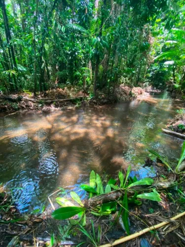Terreno com Rio em Morros MA