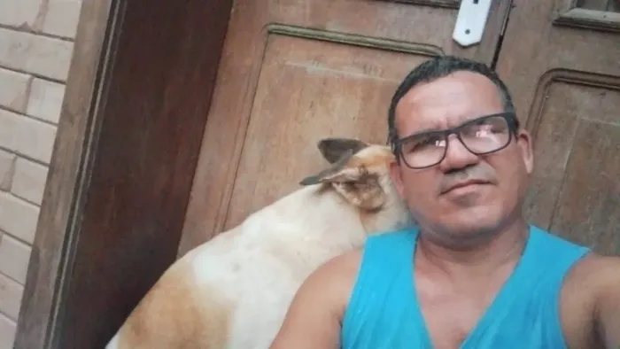 Acompanhante de Animais pets 