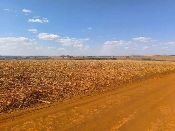 Fazenda à venda em Sacramento- MG