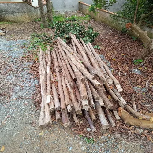 Escoras para laje ou lenha