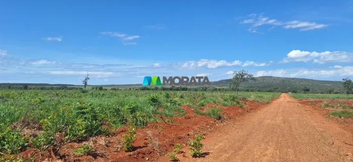 FAZENDA À VENDA - 385 HECTARES - CORINTO - MG