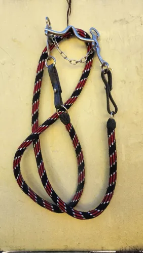 Kit Arreios de cavalo.Cabeçadas, Cabresto, barrigueiras e freio