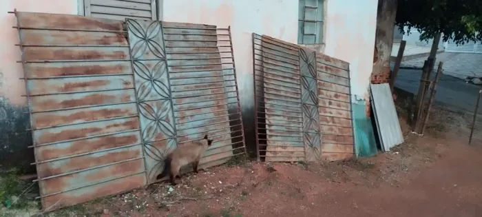Portão de ferro 3.20 por 2.35