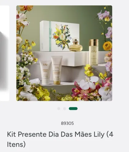 Kit Lily