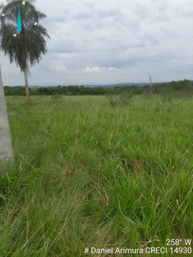  Área  a venda  79 Hectares.