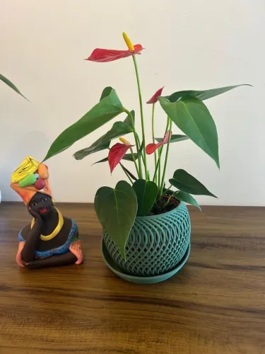 Vaso Planta Trançado