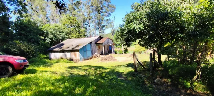 40 hectares com eucalipto em Caraá RS