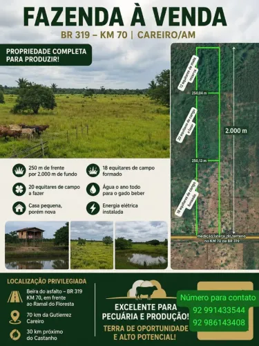 Vende-se terreno na Br 319 careiro castanho km70