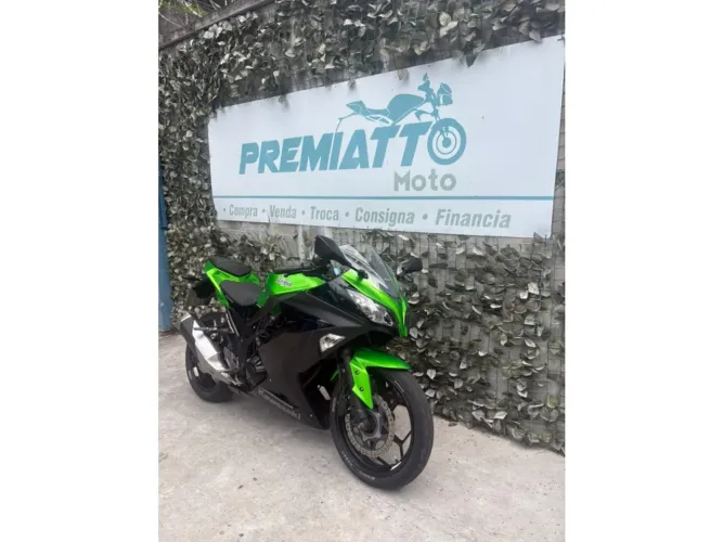 Kawasaki Ninja 300 2023