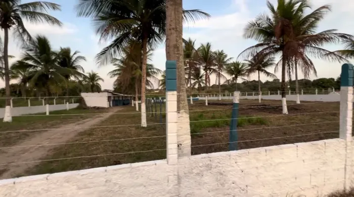 Vende-se chácara em capela Sergipe 
