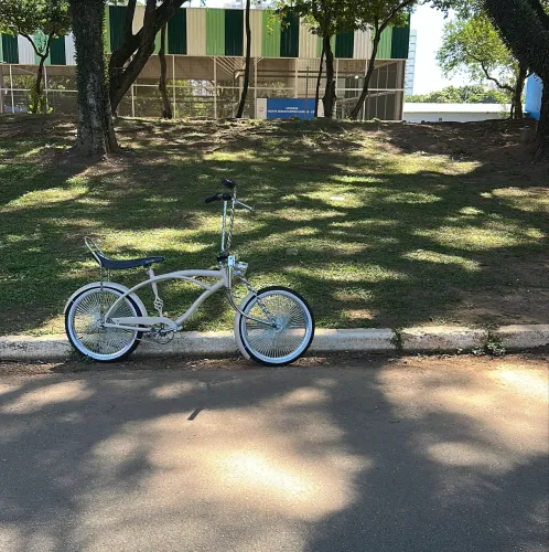 Bicicleta Lowrider