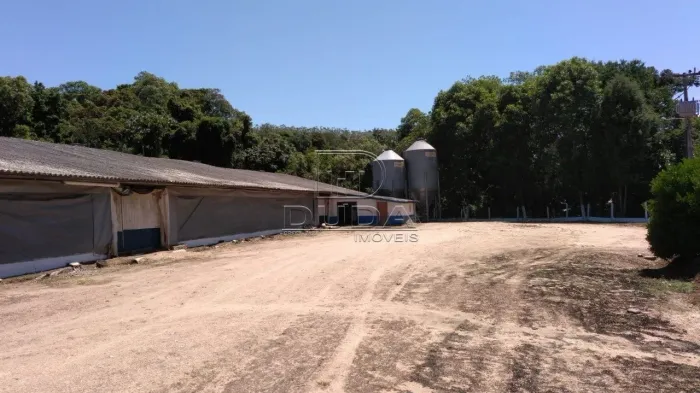 TERRENO EM URUSSANGA À VENDA