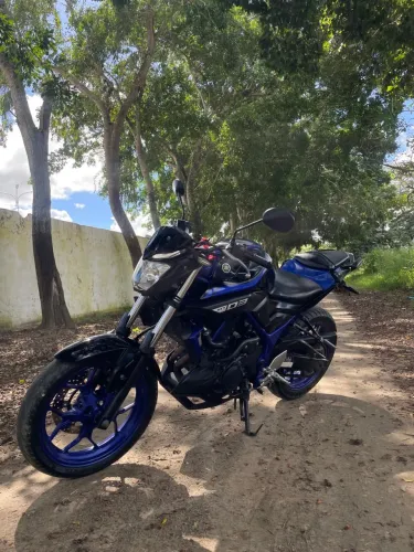 MT 03 2019