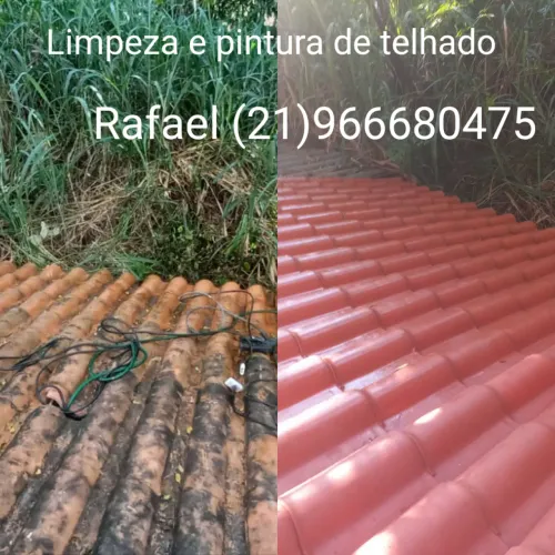 Limpeza e pintura de telhado.